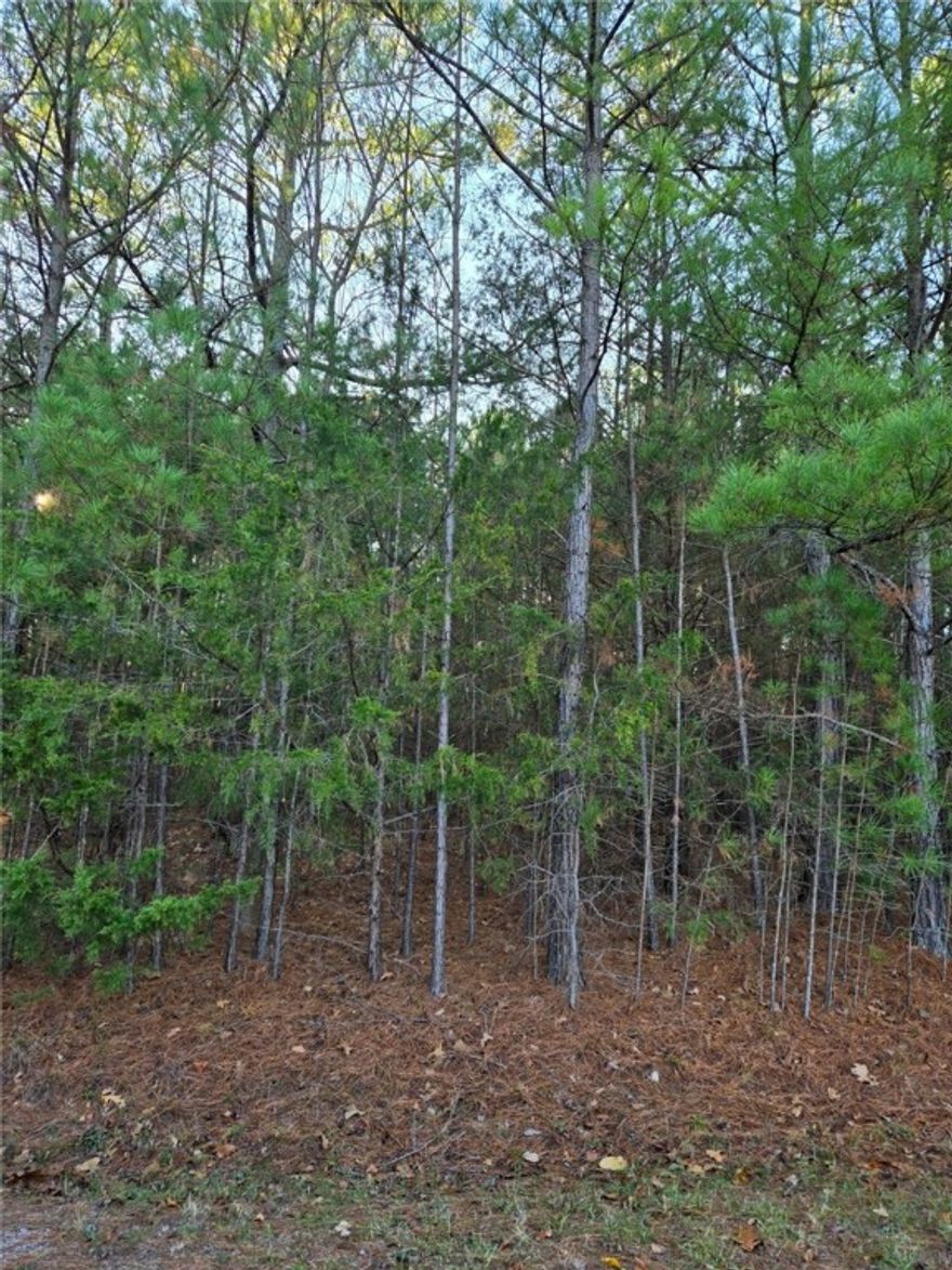 Great opportunity for your new construction! Experience all that Bella Vista has to offer - - - golf courses, lakes, and recreation facilities.
