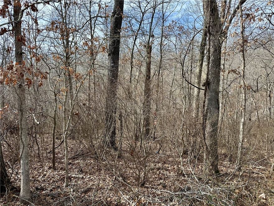 This .24-acre wooded lot offers the perfect canvas to build your dream home in the desirable Avondale subdivision. Imagine waking up to scenic views and having immediate access to everything that makes Bella Vista special. As a POA member, you'll enjoy incredible amenities including multiple golf courses, swimming pools, fitness centers, and so much more for just $16 per month. Outdoor enthusiasts will love being near Lake Avalon for fishing, kayaking, and waterfront recreation, plus you're minutes from world-famous mountain biking and walking trails that attract riders from across the globe. The gently sloping, wooded terrain provides natural beauty and privacy, while public water is available at the street. Located in the highly-rated Bentonville School District with easy access from Highway 71, this lot combines small-town charm with big-city convenience. This is an incredible value to start your Northwest Arkansas adventure. Don't miss this chance to build your future in one of America's best places to live!