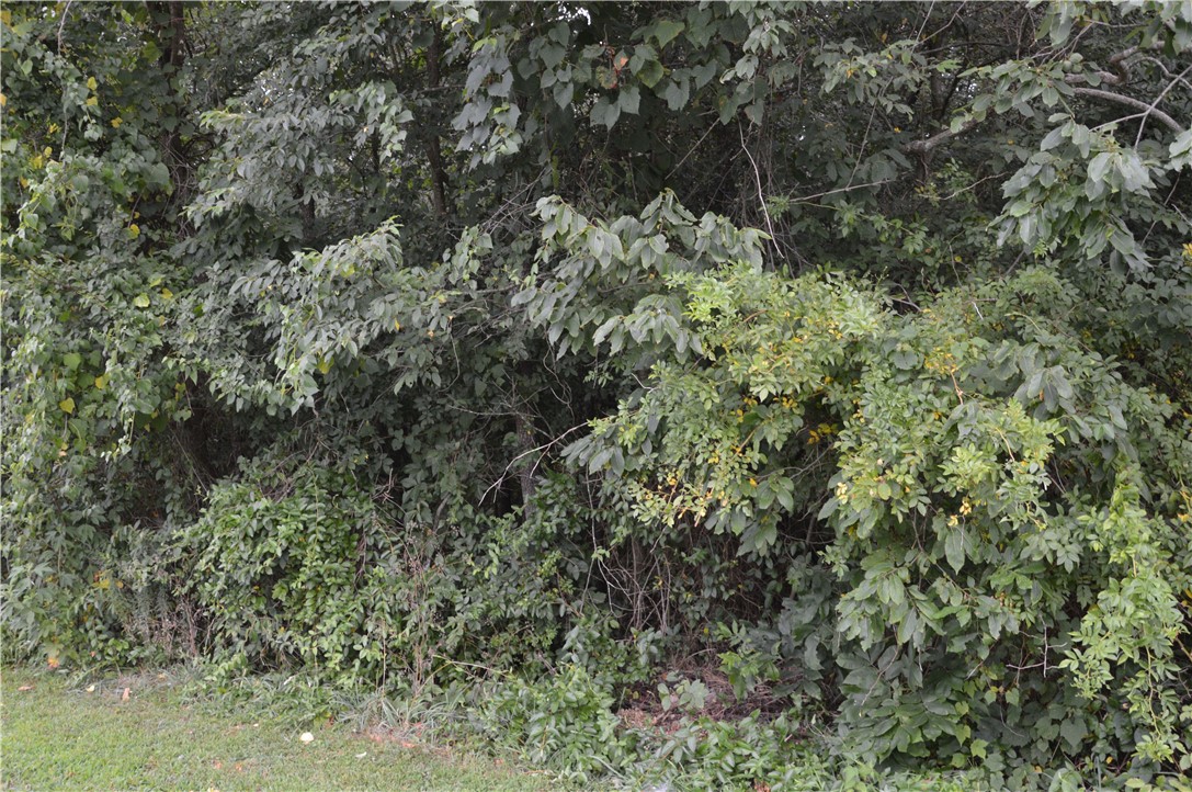 If you are looking for a lot in the Highlands close to mountain biking trails and Lake Loch Lomond then look no further. Check out this wooded lot in Taransay Subdivision and build your dream home. Enjoy all the amenities that Bella Vista has to offer.