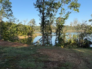 Blue Springs Village - Land