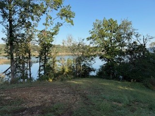 Blue Springs Village - Land