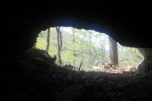 Some of the prettiest, deepest Ozark Mountain woods you'll find with seasonal gorgeous Running Creek which has aquamarine blue water in it's pools - Running Creek headwaters and multiple seasonal springs located on this property! Cave with civil war graffiti on the walls made from the old carbide lamps. Some 4 wheeler roads made throughout. Multiple building sites.