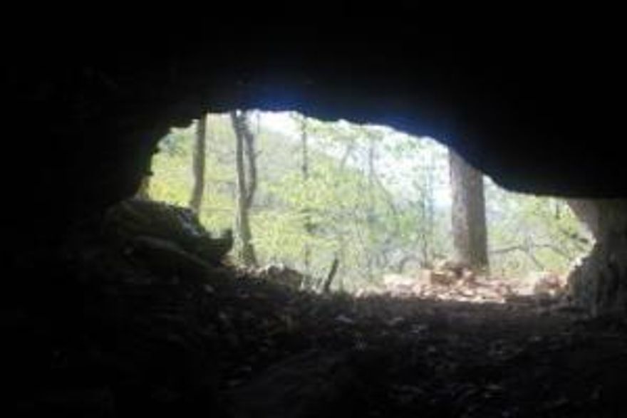 Some of the prettiest, deepest Ozark Mountain woods you'll find with seasonal gorgeous Running Creek which has aquamarine blue water in it's pools - Running Creek headwaters and multiple seasonal springs located on this property!  Cave with civil war graffiti on the walls made from the old carbide lamps.  Some 4 wheeler roads made throughout.  Multiple building sites.