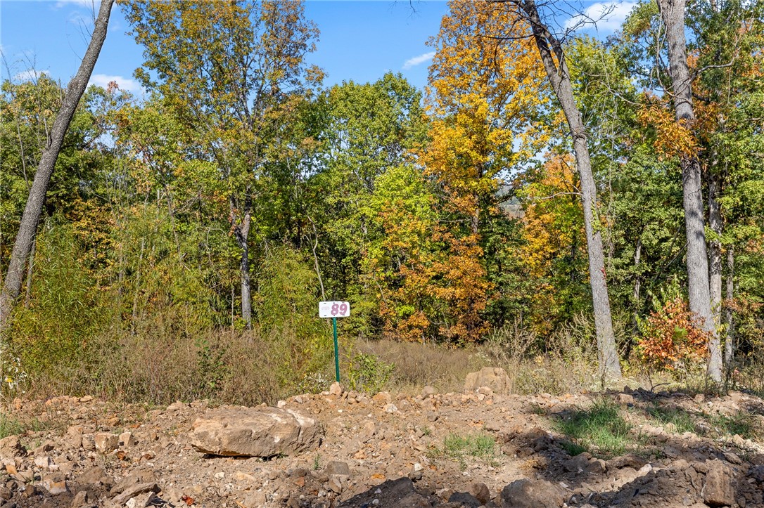 Lot 89 (0.50 m/l ac) of Round Mountain is tucked away on the lower side of the development. Offers the option for a walkout basement and those views to the north. RME is a new, master planned, exclusive subdivision located 10 minutes west of Harrison, AR. The following utilities are already on site making the building process much easier for you; natural gas, fiber optic internet, electric, public water, and sewer. Interested in your family seeing the star lights instead of those city lights? RME is what you've been searching for! RME features a 350 +/- acre common area for its residents that includes a stocked fishing pond, Kissing Rock trail, natural springs to explore, Baby Canyon trail, incredible bluff lines to climb, and views for hundreds of miles that will not only take your breath away but will forever be etched in your memory! Neighborhood amenities coming soon.
