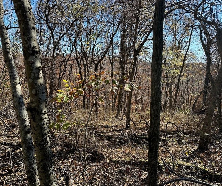 POSY MOUNTAIN RANCH UNIT 7-RURBAN - Land