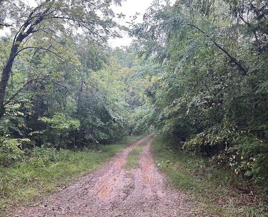 POSY MOUNTAIN RANCH UNIT 7-RURBAN - Land