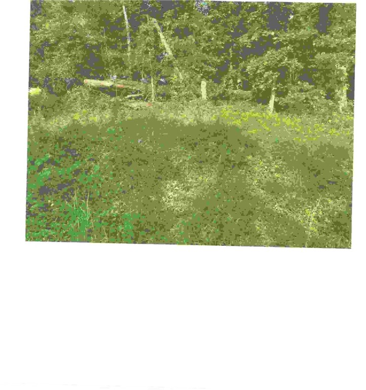 Desirable Bella Vista Lot for you to build your house on. The high point of the lot is about 1/4th of the way into the lot, then a gentle slope to the rear for the other 3/4th of the lot. Close to Branchwood Recreation area, and Highlands Golf Course. Close to I-49 highway if you go to Bentonville or on south to go to work.
There is also a lot looking at the front of the lot to the right that is also listed by the same agent MLS 1308310, for $22,500 list price, If both lots are purchased by the same buyer and combined together through the B V POA will make room for a larger house which might also be the 3 car garage that you the buyer may want and still pass percolation test,