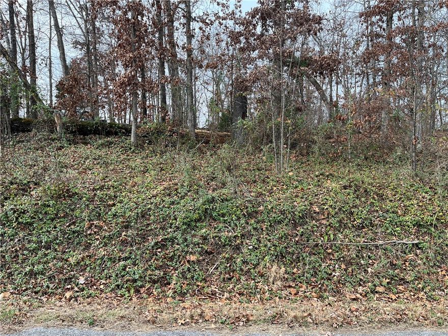 Build your ideal Bella Vista home on this gently sloped, buildable lot. This wooded property offers a peaceful setting with mature trees and convenient access to Bella Vista’s lakes, golf courses, parks, and extensive trail system. The lot provides a great opportunity for a primary residence or investment in one of the area’s most scenic communities. Enjoy full access to Bella Vista POA amenities while being surrounded by the natural beauty of the Ozarks. The neighboring lot is also listed (MLS # 1308310), and combined it would be .57 acres.