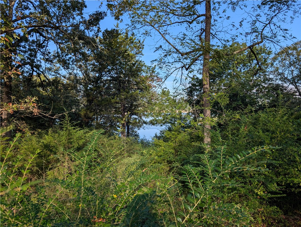 Sugarloaf Peninsula - Residential