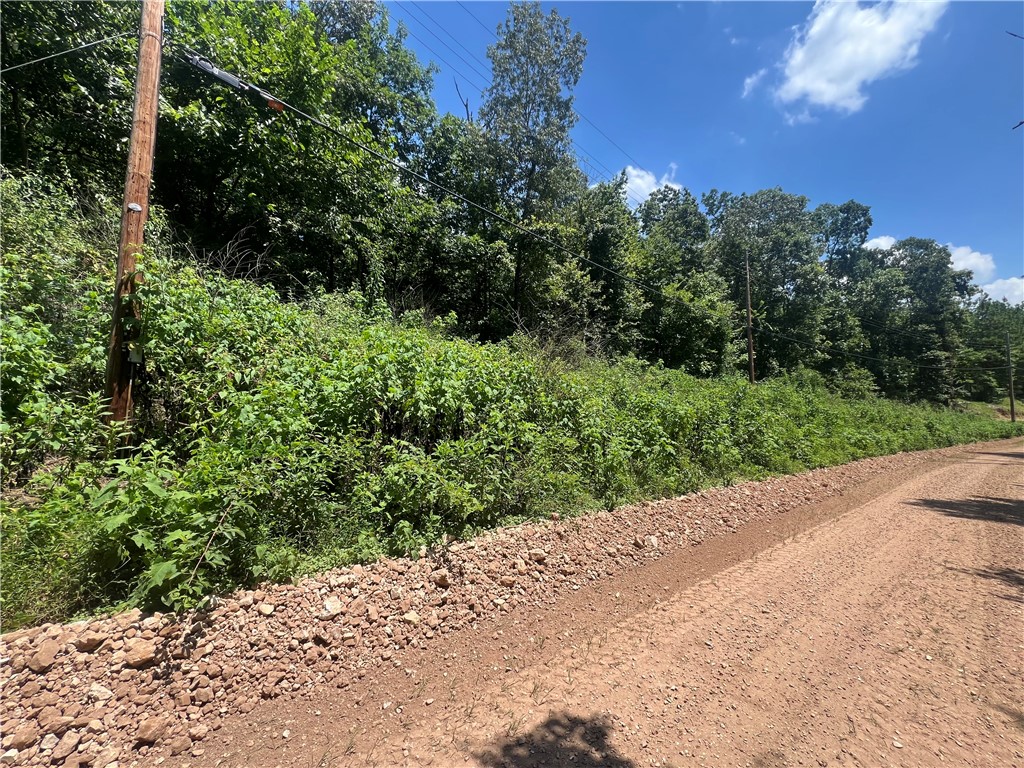 .57 acres partially wooded on dirt road across from lake access in Monte Ne. Walk to the lake from here. Good investment property for the buyer who wants easy access to the lake. Good place to build a tiny home. No covenants! There is 99 ft road frontage and 250 ft deep.