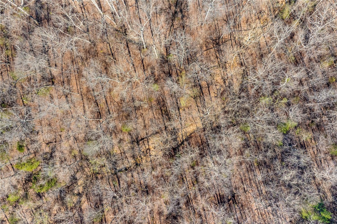 Country Hills Estates North - Residential