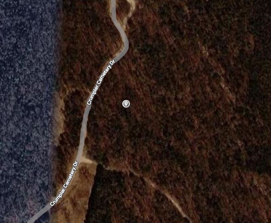 Great Level Building Site!! The 9.19 acres m/l has large trees, great hunting, and NO restrictions. Come check it out today.