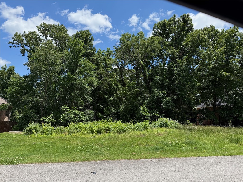 Nice residential lot in a great neighborhood.