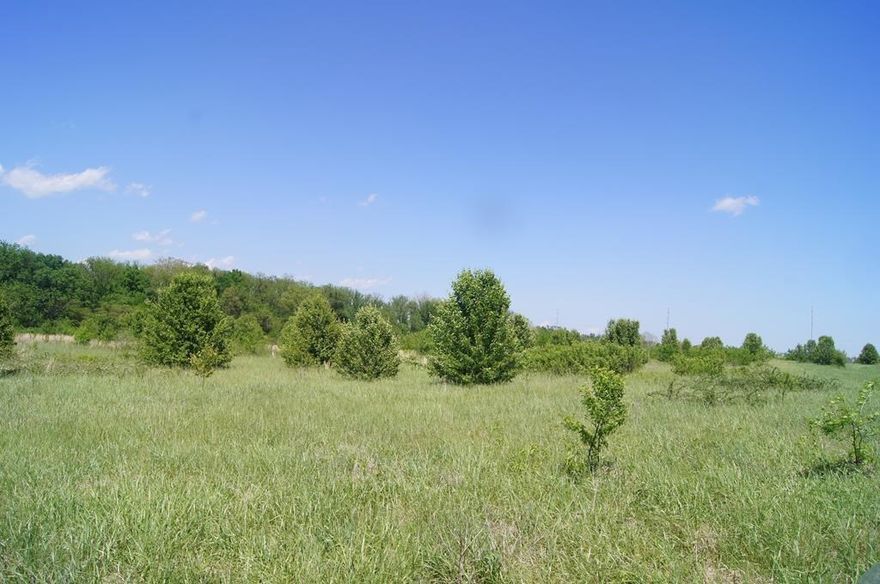 Great location for mixed use or multi-family development up to 200+ units. This 28.49 acre tract on Greenhouse Rd just 1/2 block North of SW Regional Blvd. is located in one of the fastest growing areas in all of NWA. Property in City of Bentonville. The northern 8 acres is wooded and has a creek to create a nice park-like setting and green space. Call for more information.