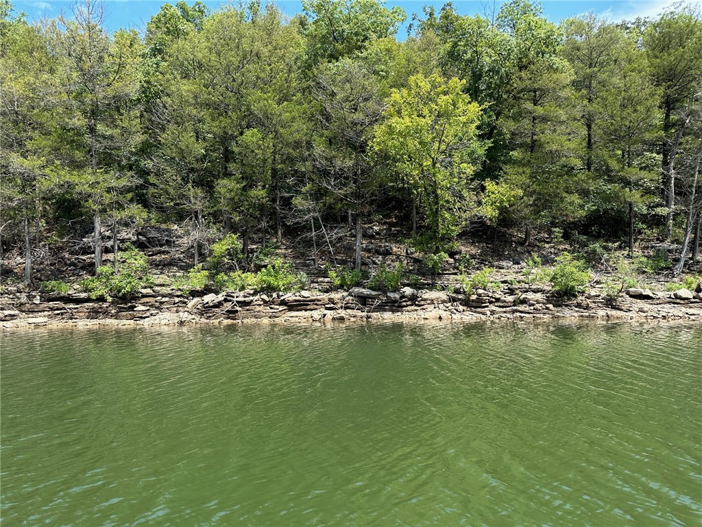 This 27.3 acre unrestricted point with 3600' of shoreline makes a great home base for all types of outdoor activities! You can boat, swim, fish, kayak, camp and observe wildlife on this sweet parcel across from Holiday Island; a great location for rental cabins or your dream home! Property is currently landlocked (only legally accessible by water), but can be purchased along with MLS#1302150 (890 Hannah Lane) to create a 93.4 acre spread of paradise with 4400' of lake frontage!