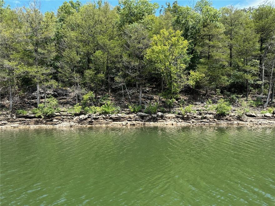 This 27.3 acre unrestricted point with 3600' of shoreline makes a great home base for all types of outdoor activities! You can boat, swim, fish, kayak, camp and observe wildlife on this sweet parcel across from Holiday Island; a great location for rental cabins or your dream home! Property is currently landlocked (only legally accessible by water), but can be purchased along with MLS#1302150 (890 Hannah Lane) to create a 93.4 acre spread of paradise with 4400' of lake frontage!