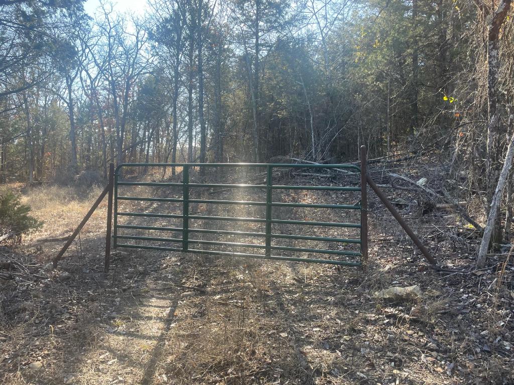 23 plus wooded acreage of rolling property. Development potential! Good hunting ground.