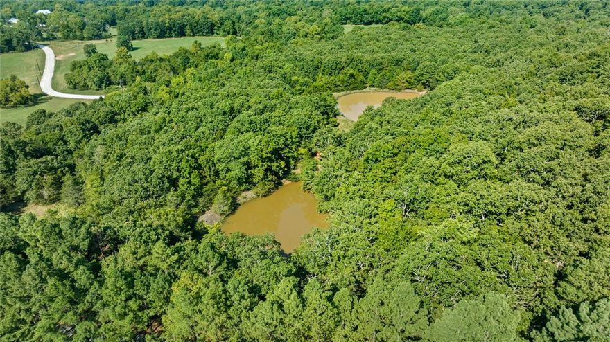Located in Goshen Arkansas and in the Fayetteville School District you will find a rare opportunity to build your custom home on a private five acre lot located in the prestigious Cedar Ranch Estates. Designed to preserve the natural beauty and privacy appreciated in the Goshen area, and with opportunity to design the perfect dream estate. Each lot is uniquely different ranging from beautiful valley views, to stream side oasis, to pond side elegance, to rolling grassy fields. With each lot you will have the opportunity to create a home on an estate sized lot with the unique features desired by everyone. Come visit Cedar Ranch Estates and make it your last home.