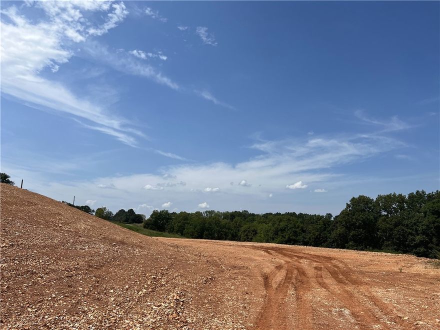 Property has been prepped with 2 large level spots ready to build a home and shop on 5 acres m/l. The electric poles are running along the road. No restrictions. This is a must see country property.