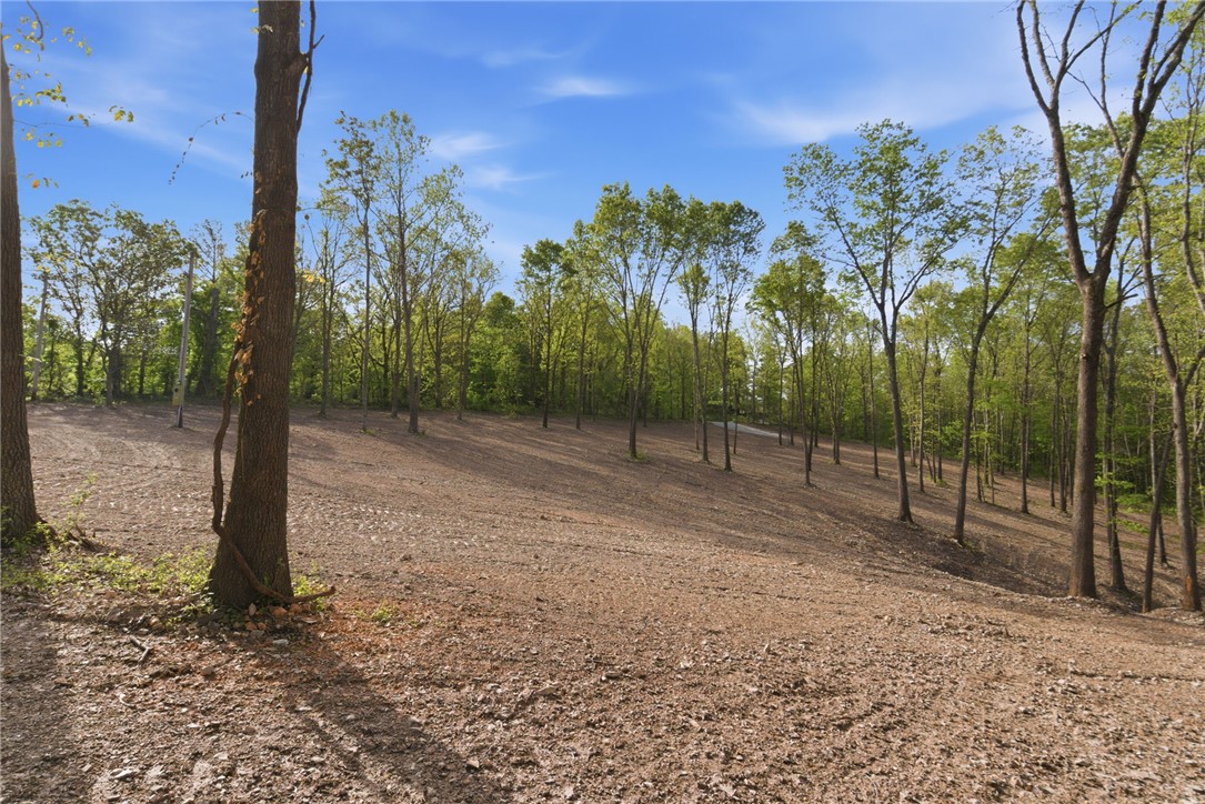 Woodridge Manor - Land