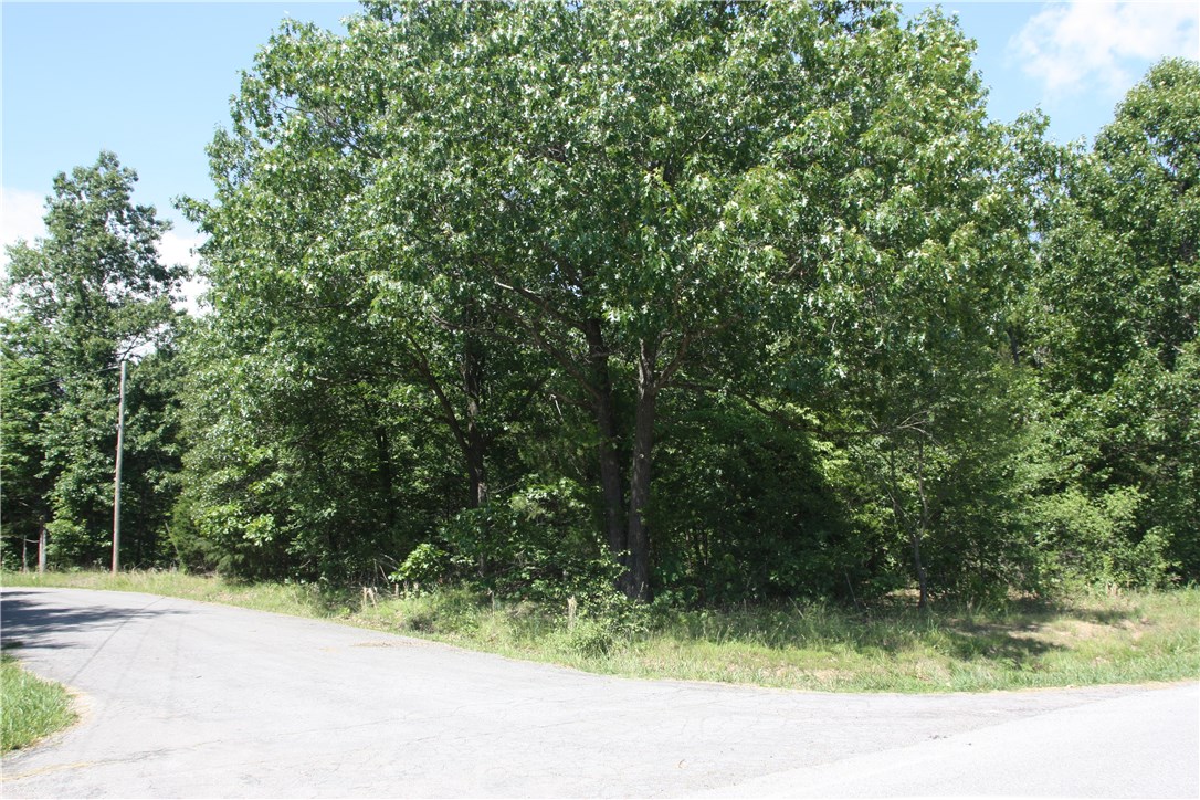 Two beautiful adjacent lots at corner of Kinross/ Bayhill totaling .66 acres. Stunning building lot and both are perfectly level, ONE block from Highlands golf course and 1 mile from Bella Vista by-pass entrance. Loch Lomond lake is nearby as well as the newly built, Lakepoint Restaurant. Approx. 1 mile to Branchwood fitness center w/indoor pool, workout center and 1.5 mile paved walking trail.