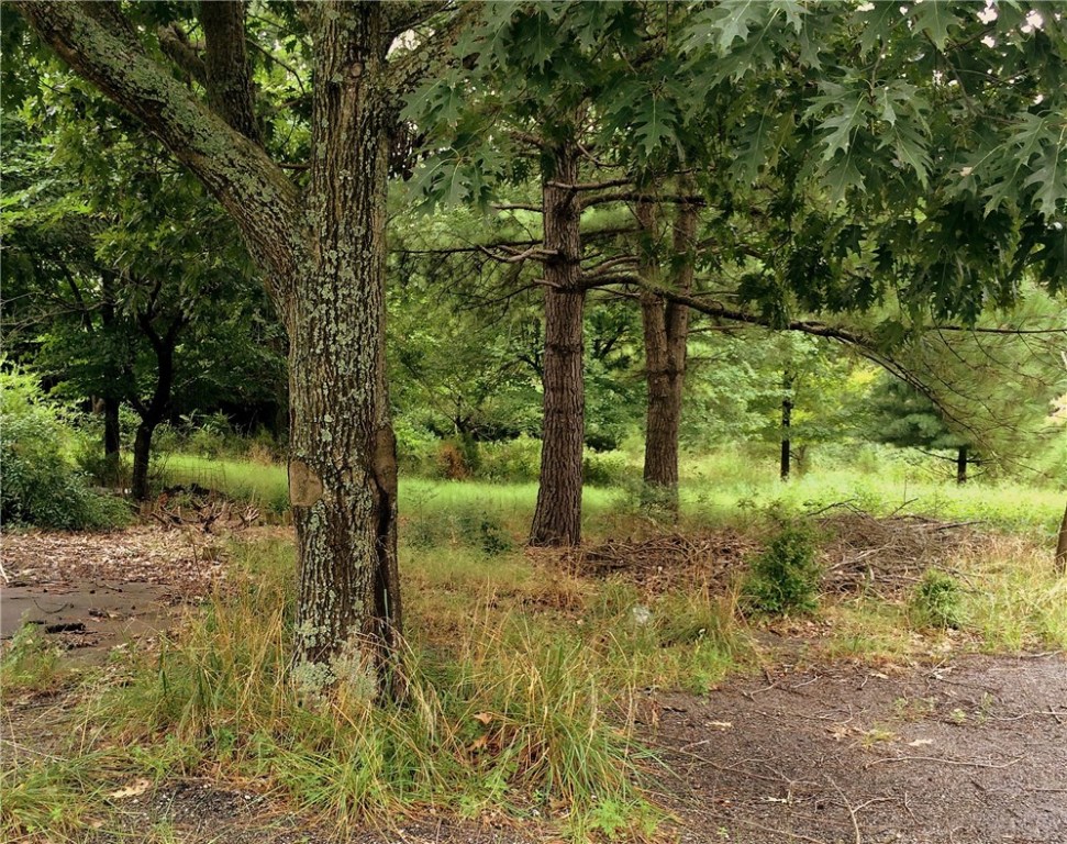 Fayetteville Outlots - Land