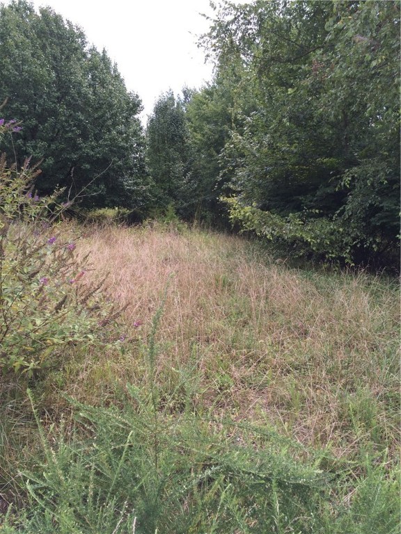 Fayetteville Outlots - Land