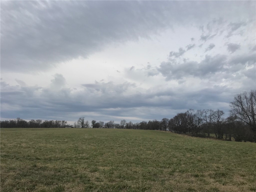 Check out this one of a kind, absolutely stunning 24 acre tract! Prime land for developing into a gorgeous small subdivision (since Centerton water is already at the street) or beautiful spot to build your one of a kind dream home. This 24 acre tract is mostly flat with some rolling. Mostly open and ready use. Plenty of road frontage to do a small scale development or extend the existing driveway. Has a nice year around pond ready for livestock. Amazing opportunity.