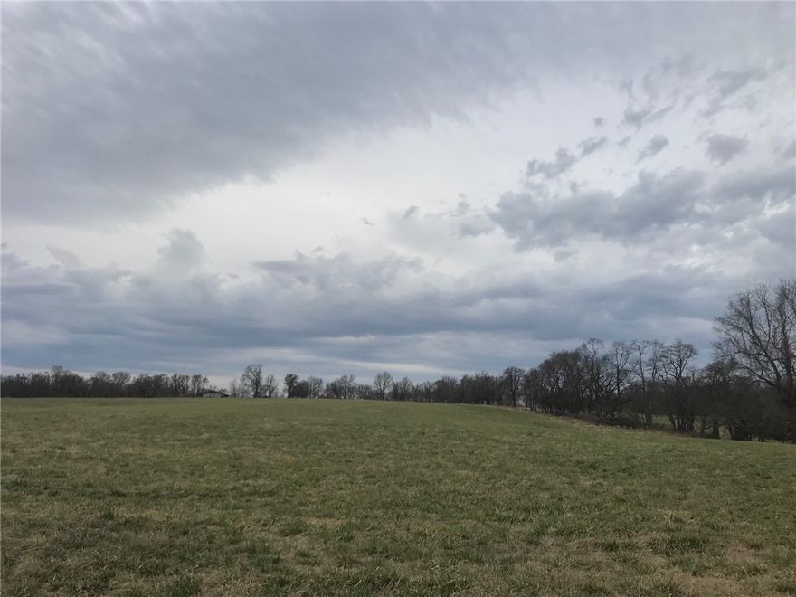Check out this one of a kind, absolutely stunning 24 acre tract! Prime land for developing into a gorgeous small subdivision (since Centerton water is already at the street) or beautiful spot to build your one of a kind dream home. This 24 acre tract is mostly flat with some rolling. Mostly open and ready use. Plenty of road frontage to do a small scale development or extend the existing driveway. Has a nice year around pond ready for livestock. Amazing opportunity.