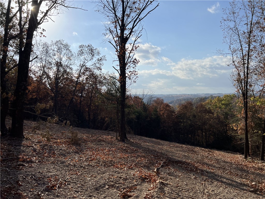 Spectacular View!! The property features a nice building site with lots of hardwood trees, no property restrictions, and electric is available. Call today to schedule a showing.