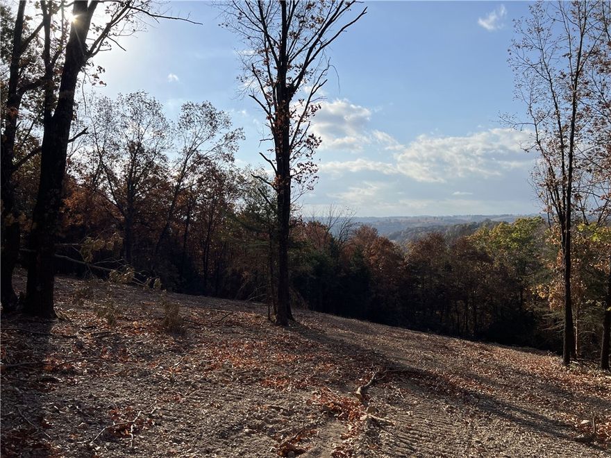 Spectacular View!! The property features a nice building site with lots of hardwood trees, no property restrictions, and electric is available. Call today to schedule a showing.
