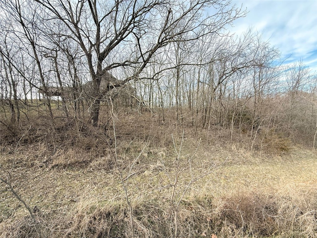 Cabins at Big Springs - Land