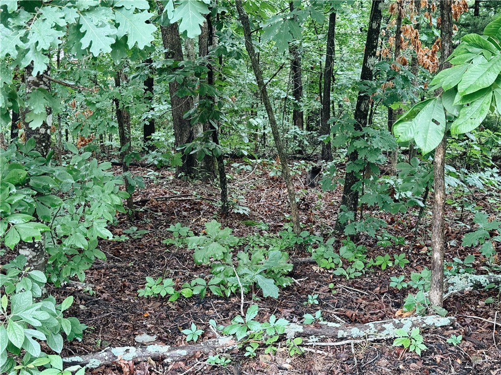 Rare opportunity to own a "Bella Vista" flat, buildable lot on the highly sought-after east side of Bella Vista—just down the street from a trail crossing on the Back 40 Trail System. This gently sloping .29-acre lot is nestled in a quiet, scenic neighborhood and offers the perfect blend of natural beauty and convenience. Whether you're looking to build your dream home or a weekend adventure base, this location puts you in the heart of Bella Vista’s world-class biking and outdoor amenities. Don’t miss this one—it’s hard to find lots this level and this well-located!