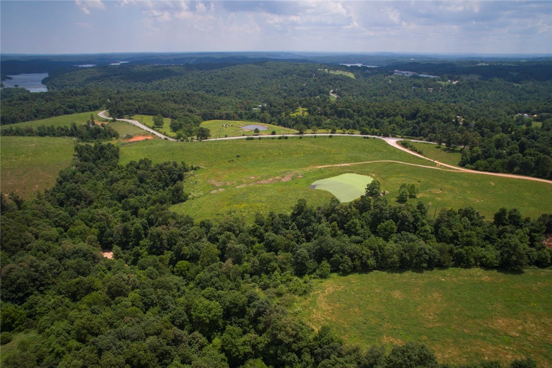 Chicken Ridge - Farm