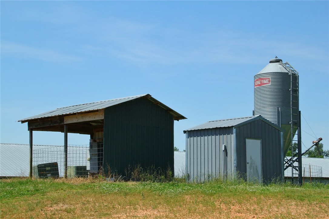 Chicken Ridge - Farm