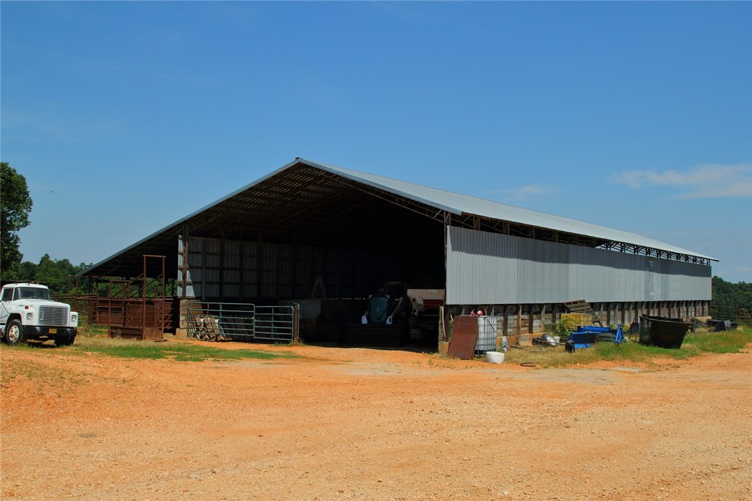 Chicken Ridge - Farm