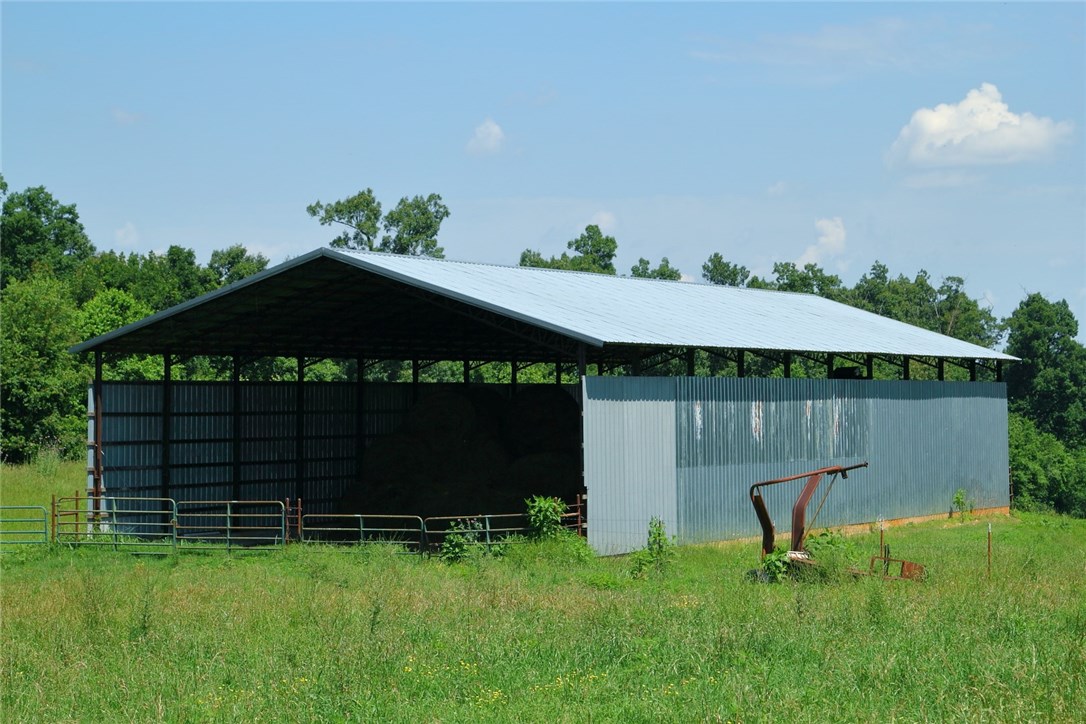 Chicken Ridge - Farm