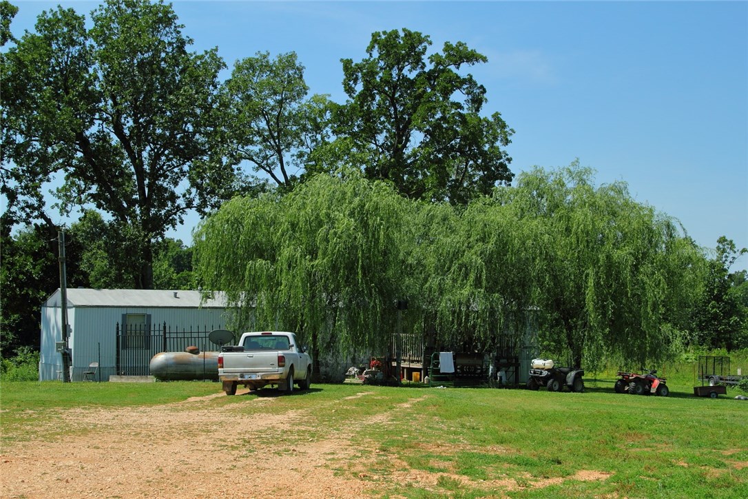 Chicken Ridge - Farm