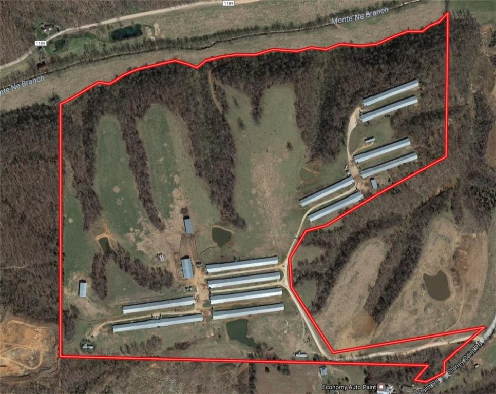 Chicken Ridge - Farm