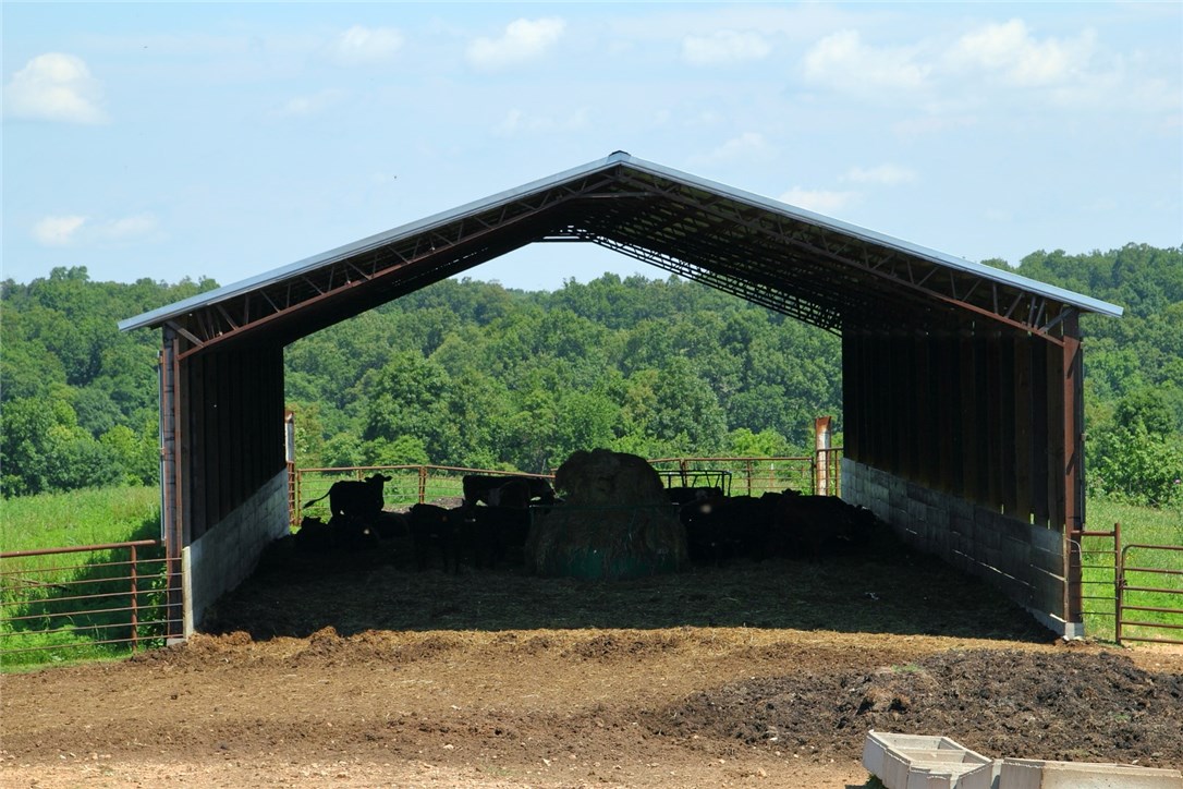 Chicken Ridge - Farm