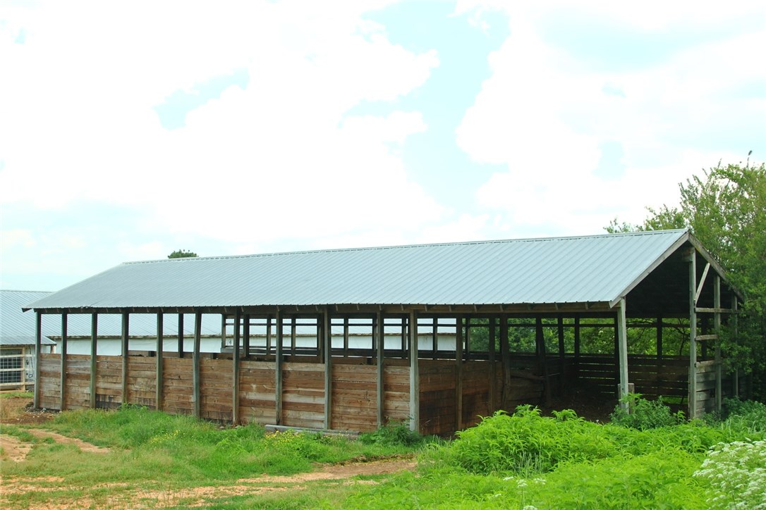 Chicken Ridge - Farm