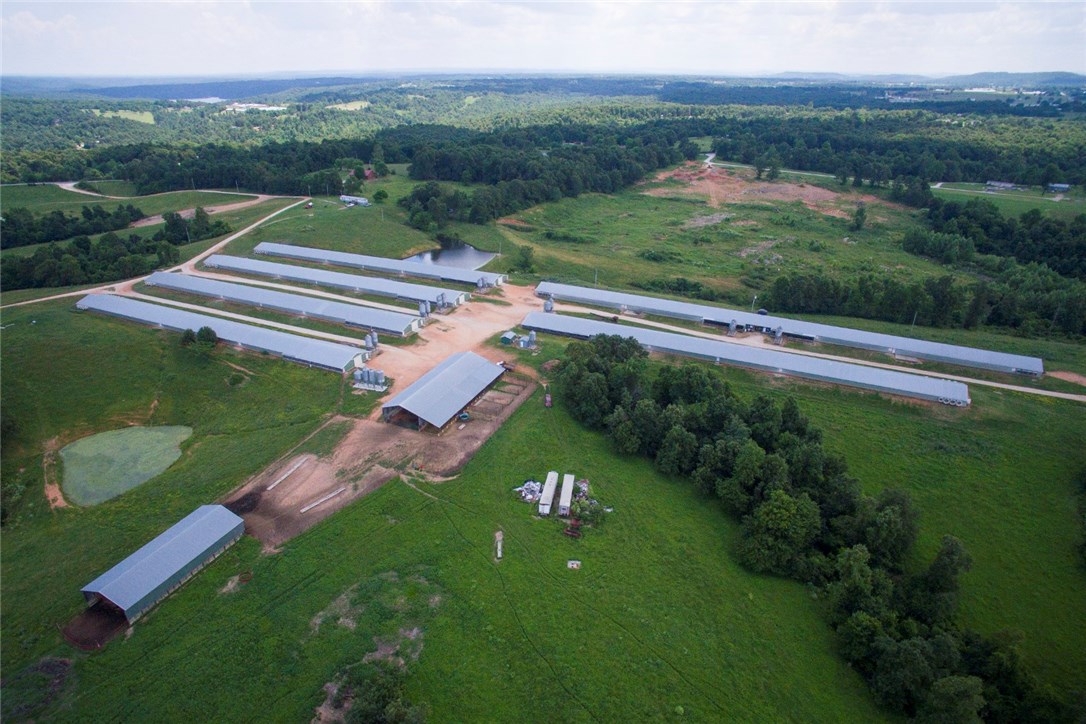 Chicken Ridge - Farm