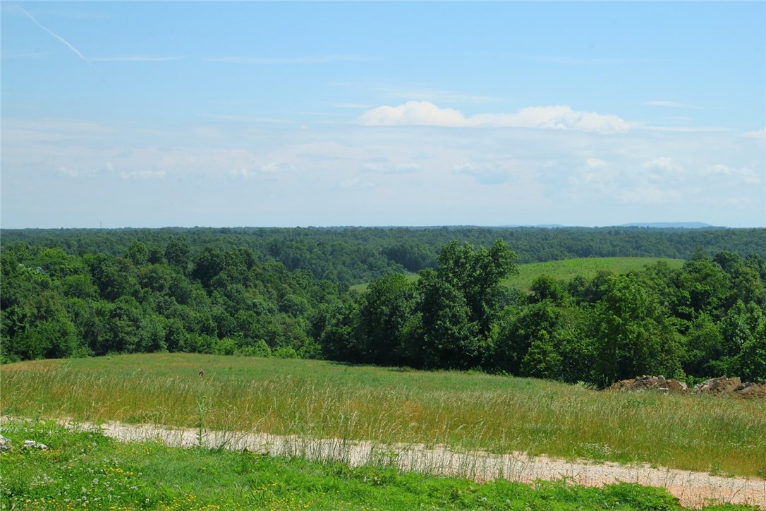 Chicken Ridge - Farm