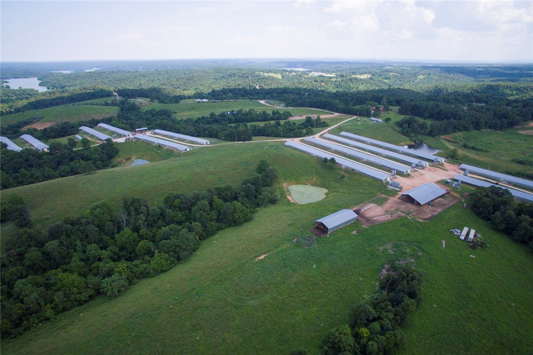 Chicken Ridge - Farm