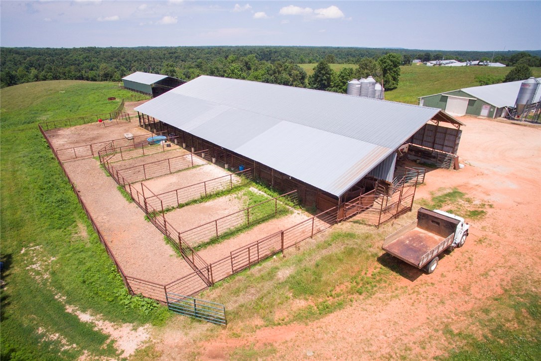 Chicken Ridge - Farm