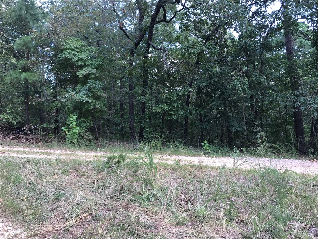 ****A Lot to Love****
This BeauTful 0.32 acre Lot will make a fantastic spot to build your NEW home. Be the first home on this nice & private cul de sac. Privacy...?, Seclusion..?, Peacefulness...?, Nature...? You've got it all right here! Surrounded by tall mature trees & located near Everything. From local Grocer, Banking, Churches, Library & easy access to many other close amenities BV has to offer. PLUS, Shopping Theaters, Museum's & Restaurants near. Go Ahead, you will not regret it! Call Today!