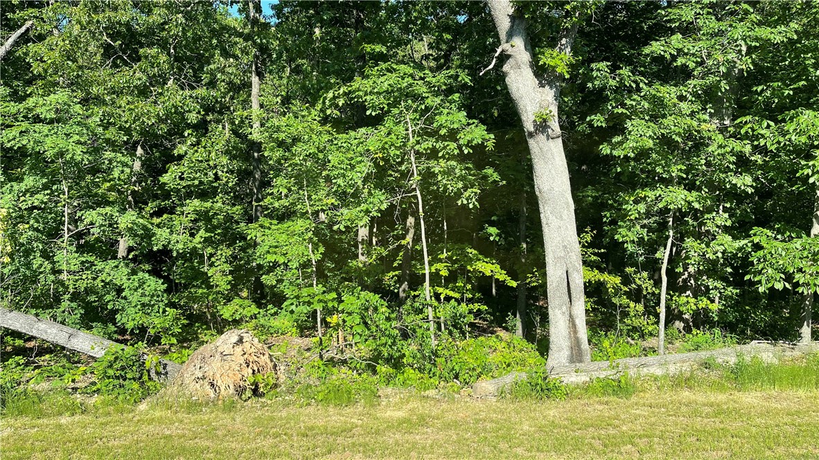Beautiful lot in a quiet cul de sac backed by POA land.