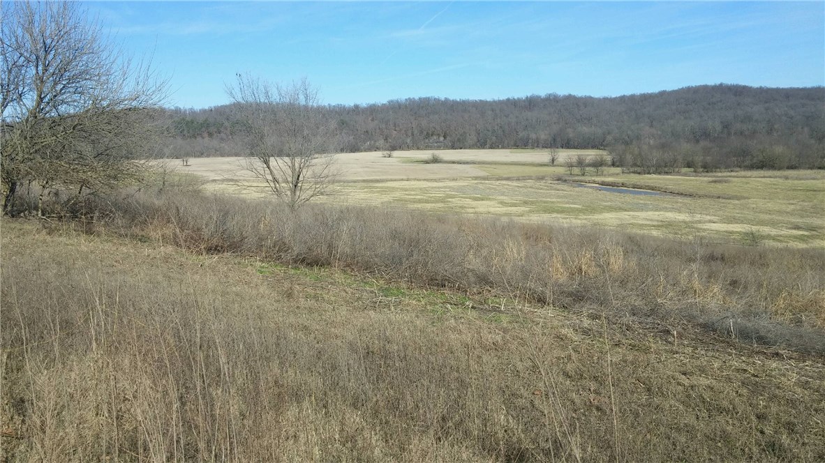 One of the premier tracts of land in NWA. Features include Illinois River frontage, fertile bottomland pasture, appx. 80 acres of woods with great hunting. Outstanding views from farm house (1576 square feet) with glass enclosed porch and basement.