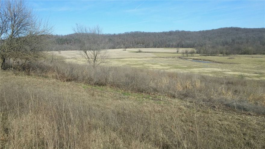 One of the premier tracts of land in NWA.  Features include Illinois River frontage, fertile bottomland pasture, appx. 80 acres of woods with great hunting.  Outstanding views from farm house (1576 square feet) with glass enclosed porch and basement.