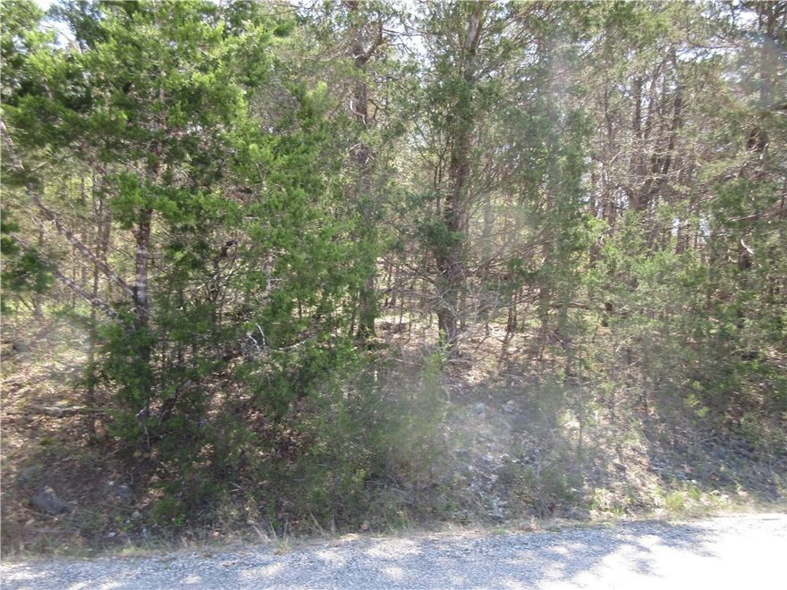 This is a very buildable wooded lot close to Table Rock Lake and the Holiday Island Marina. It is close to the Kayak launch area and the paved Leatherwood trail. After you cross the bridge over to the island, the 9-hole golf course and the Rec Center with swimming pools are there.